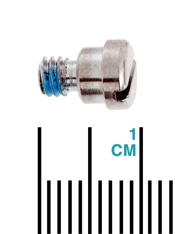 PENN Slammer And Spinfisher 1182689 Replacement Bail Cam Screw 3 PENN Slammer And Spinfisher 1182689 Replacement Bail Cam Screw