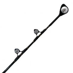 PENN International 80VISW Ocean Assassin 2-Speed Gold Bent Butt Game Combo 5ft 5in 37kg 2pc -PENN Sales Shop 107684 3 n 1