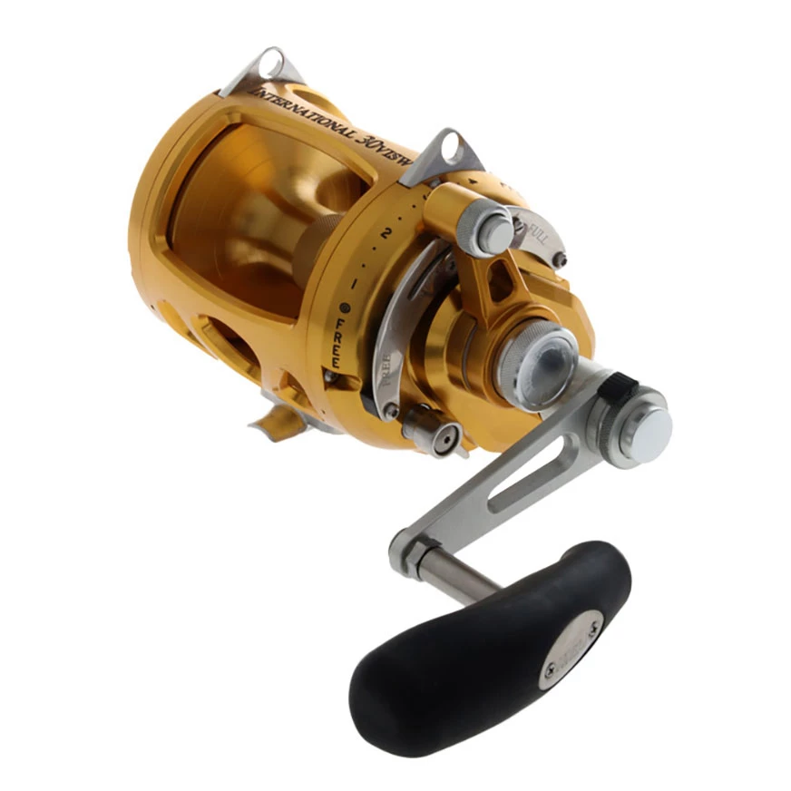 PENN International 30 VISW 2-Speed Game Reel Gold 3 PENN International 30 VISW 2-Speed Game Reel Gold