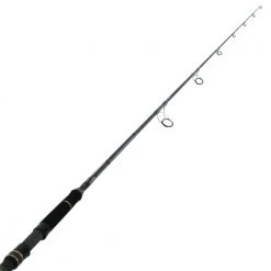 PENN Ocean Assassin 742MH Spinning Soft Bait Rod 7ft 4in PE2-4 2pc