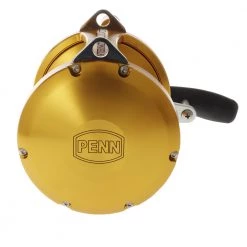 PENN International 80VISW 2-Speed Game Reel Gold 13 PENN International 80VISW 2-Speed Game Reel Gold -PENN Sales Shop 98941 6