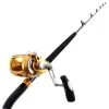 PENN International 30VISX Ocean Assassin 2-Speed Gold Bent Butt Game Combo 5ft 5in 24kg 2pc 2 PENN International 30VISX Ocean Assassin 2-Speed Gold Bent Butt Game Combo 5ft 5in 24kg 2pc -PENN Sales Shop bundled1370780and1495260 2