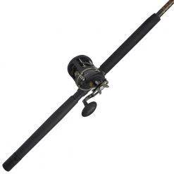 PENN Squall II 20 Level Wind Overhead Combo 6ft 6in 6-10kg 1pc